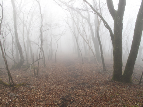 20181205hike (157)